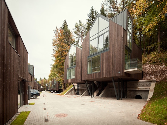 les maisons Bois de construction-plaquées ont augmenté vers le haut sur des échasses au-dessus des chambres fortes de munitions dans le parkland de Vilnius