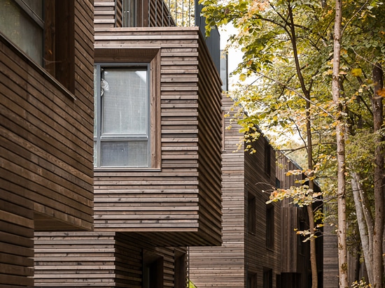 les maisons Bois de construction-plaquées ont augmenté vers le haut sur des échasses au-dessus des chambres fortes de munitions dans le parkland de Vilnius