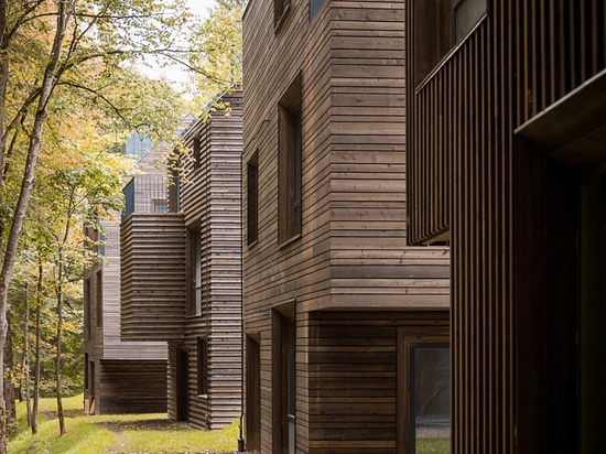 les maisons Bois de construction-plaquées ont augmenté vers le haut sur des échasses au-dessus des chambres fortes de munitions dans le parkland de Vilnius