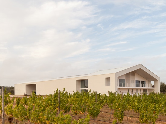 Ribeiro de Carvalho met à jour l'établissement vinicole portugais vieil d'un siècle avec le nouveau bâtiment plaqué de métal