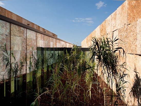 Cet itinéraire croise également un patio planté, formant « une promenade intérieure » avec une référence subtile à un cloître. Photographie : Lisa Ricciotti