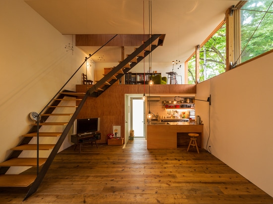 La maison en bois compacte par des architectes de Takeru Shoji se tient à côté des arbres de 200 ans