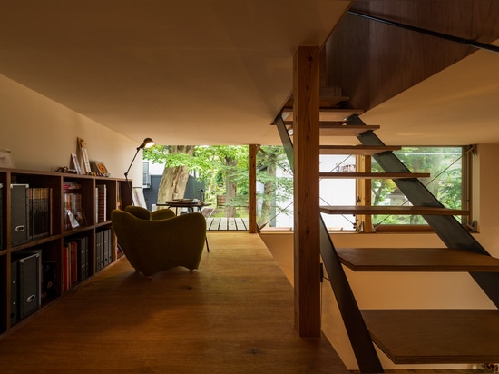 La maison en bois compacte par des architectes de Takeru Shoji se tient à côté des arbres de 200 ans