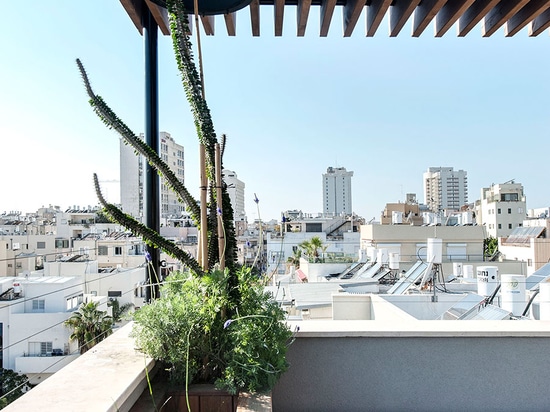 Un appartement duplex d'appartement terrasse à Tel Aviv par Toledano + architectes