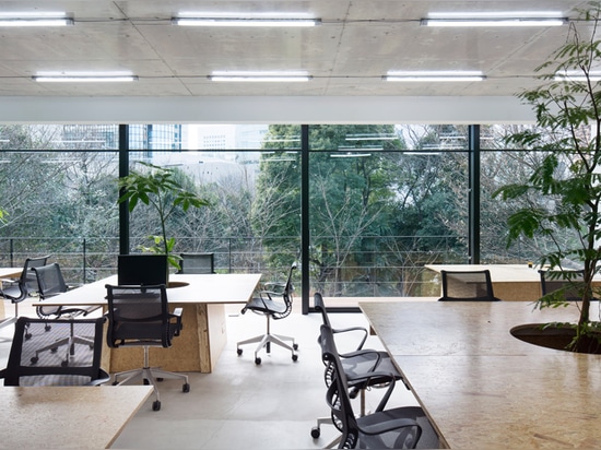 les bureaux two-storey de magasin et donnent sur un parc à Tokyo centrale