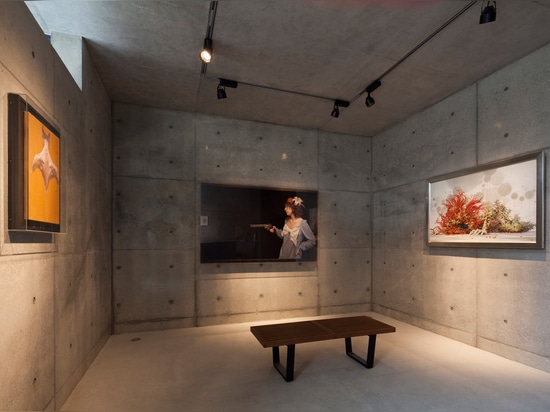 La maison de regard fixe au Japon contient également une galerie pour montrer la collection de l'art du client