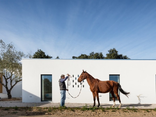 Blaanc emploie la terre enfoncée pour construire la maison dans une vigne portugaise