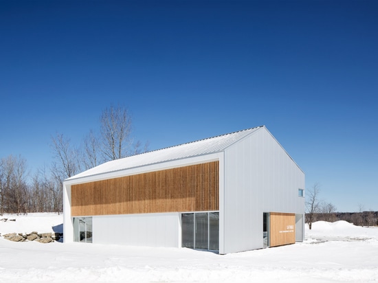 L'architecture Microclimat accomplit le centre de forme physique canadien pour des constructeurs de corps et des gymnastes