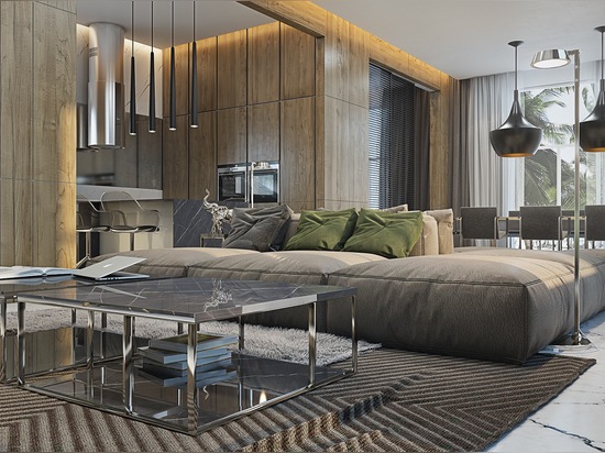 4 appartements masculins avec les sofas confortables superbes et les palettes de couleur lisses