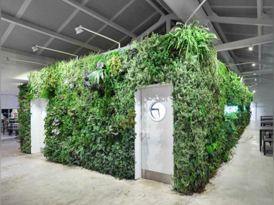 Le jardin vertical abondant apporte la vie et l'air frais à Espaço Espelho de Lisbonne ? d'Água