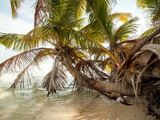 Leonardo DiCaprio établit une eco-ressource de luxe près de Belize