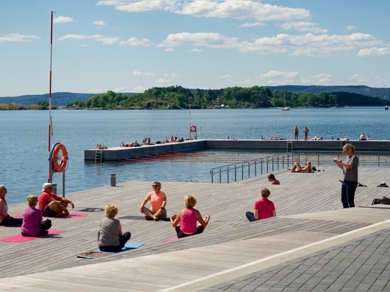 Piscine de mer de Kebony pour des nageurs de ville