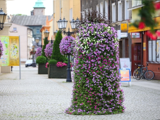 Les tours de fleur ne permettront pas aux citoyens d'obtenir ennuyés !