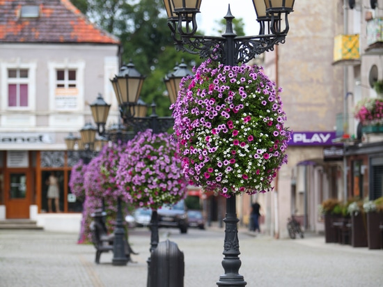 Les tours de fleur ne permettront pas aux citoyens d'obtenir ennuyés !