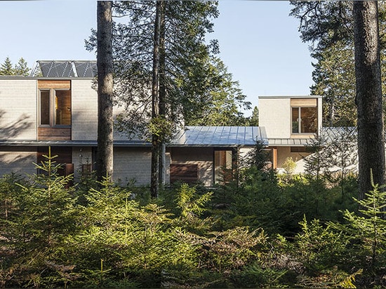 Vue de côté nord de maison par la forêt de pin