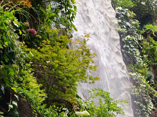 La plus haute cascade du monde dans un jardin vertical