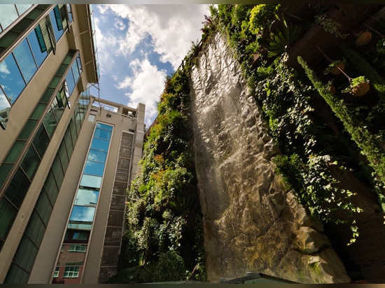 La plus haute cascade du monde dans un jardin vertical