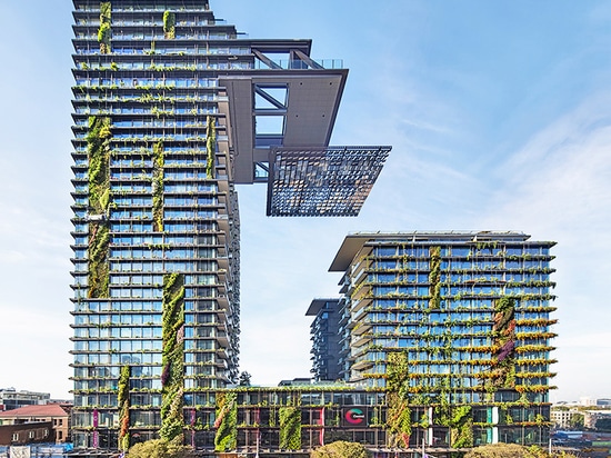 Le jardin vertical le plus grand du monde habite et respire à Sydney