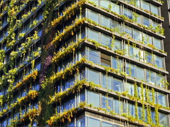 Le jardin vertical le plus grand du monde habite et respire à Sydney