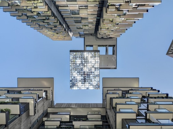 Le jardin vertical le plus grand du monde habite et respire à Sydney