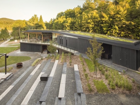 mélanges centraux Vert-couverts de visiteur dans le paysage du bord de lac du Québec