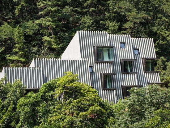 Pentes profondes multi-à gradins de la Chambre de Séoul dans un toit herbeux magnifique