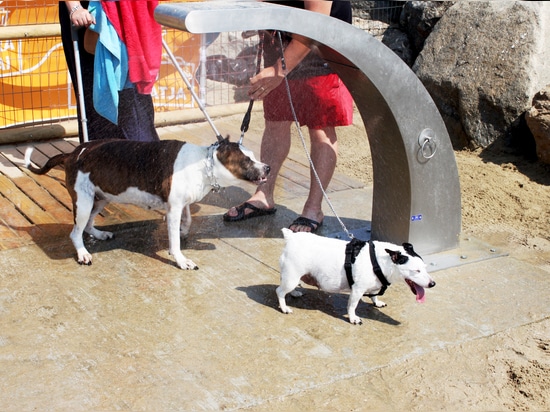 La douche avec des chiens de pulvérisateurs échouent à Barcelone