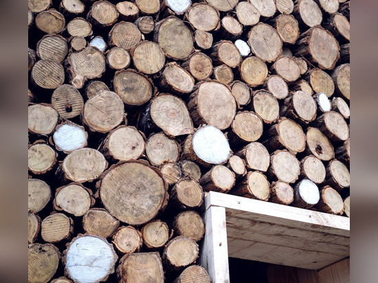 Bonjour le bois construit l'arbre de Noël de Budapest de 5000 morceaux de bois de chauffage