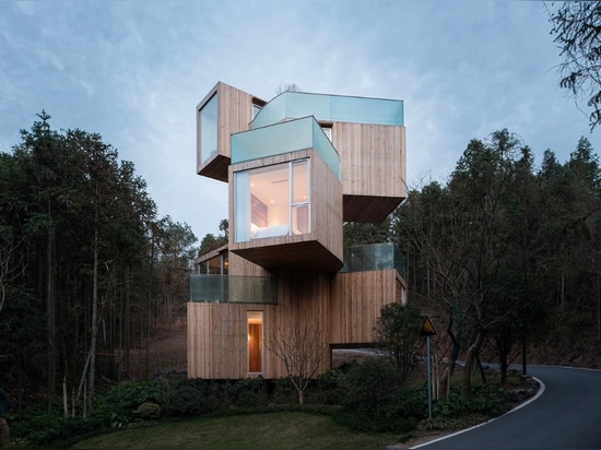 Cabane dans un arbre