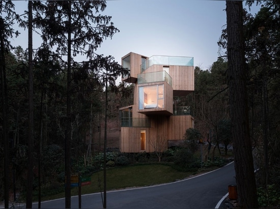 Cabane dans un arbre