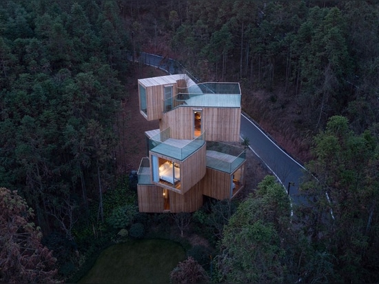 Cabane dans un arbre