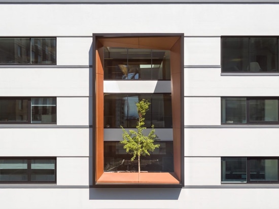 Perkins + révise un entrepôt concret ennuyeux dans de beaux bureaux d'or de LEED