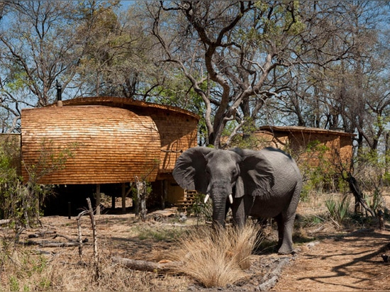 Une loge soutenable de safari arrive au Botswana