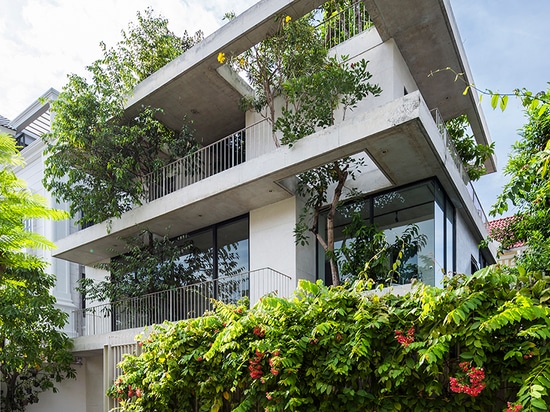 les arbres dépassent par VTN maison “empilée” des planteurs des architectes au Vietnam