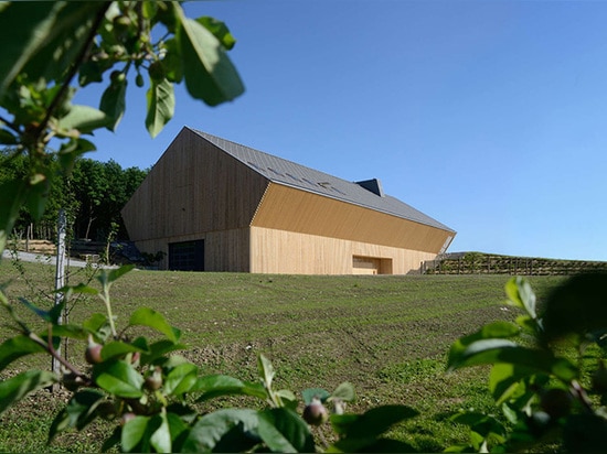 La pièce d'échantillon saisissante de Schmidt de vigne est enveloppée dans un trellis en bois vertical