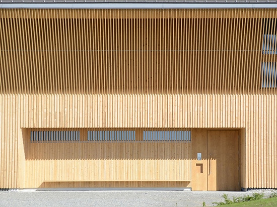 La pièce d'échantillon saisissante de Schmidt de vigne est enveloppée dans un trellis en bois vertical