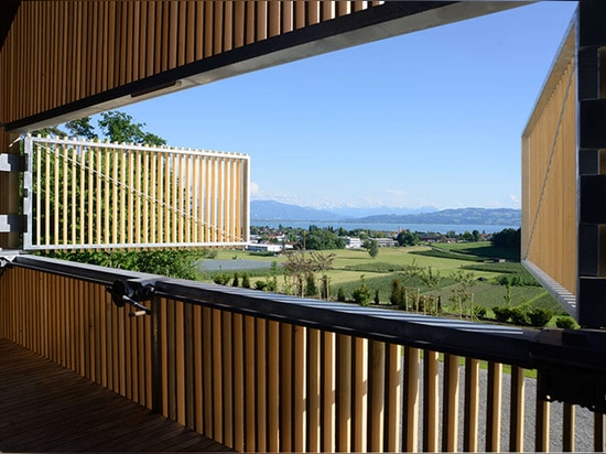 La pièce d'échantillon saisissante de Schmidt de vigne est enveloppée dans un trellis en bois vertical