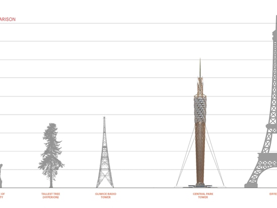 DFA propose la tour d'observation la plus grande de bois de construction pour nettoyer le réservoir de Central Park