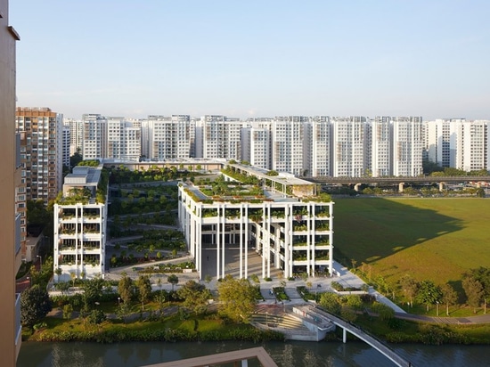 serie et multiplier des architectes pour accomplir les “terrasses d'oasis” bucoliques à Singapour