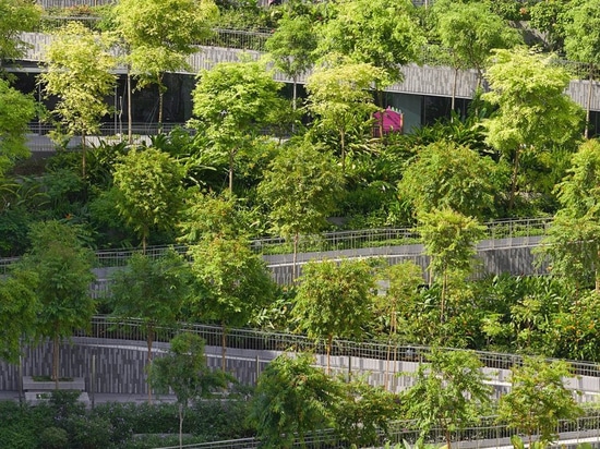 serie et multiplier des architectes pour accomplir les “terrasses d'oasis” bucoliques à Singapour