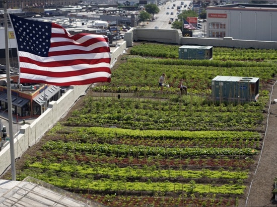 42.000 pieds carrés de ferme urbaine créée sur le dessus de toit de New York