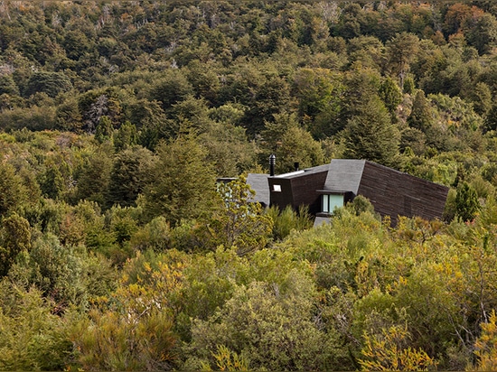 juxtaposition de maison dans l'environnement normal