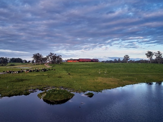 Crème de la crème : La laiterie Creamery, Bannister Downs Dairy