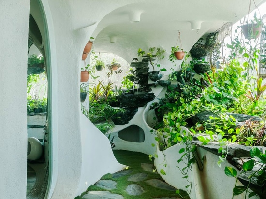 Salon de jardin : Transformer un appartement urbain de Mumbai en une oasis de verdure