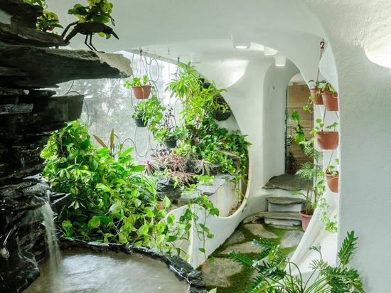 Salon de jardin : Transformer un appartement urbain de Mumbai en une oasis de verdure