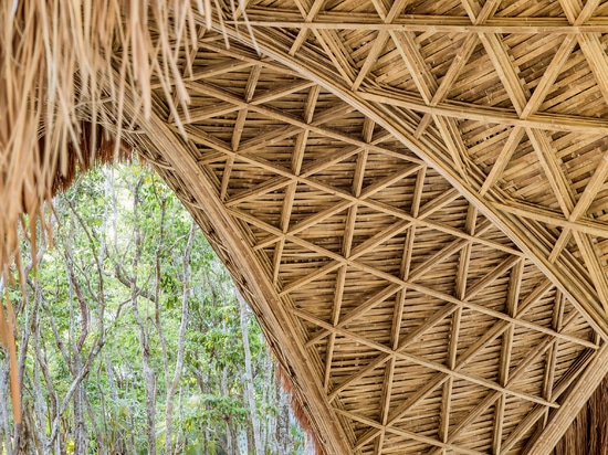 Le bureau d'études CO-LAB crée un pavillon de yoga en bambou à Tulum