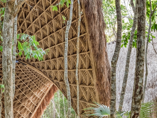 Le bureau d'études CO-LAB crée un pavillon de yoga en bambou à Tulum