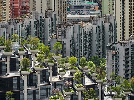 le projet de développement à usage mixte de l'atelier de bruyère'1000 arbres' prend forme à shanghai