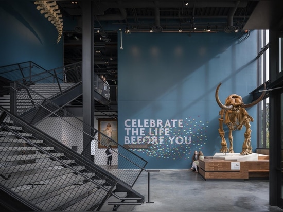 Musée d'histoire naturelle et de culture de Burke par Olson Kundig