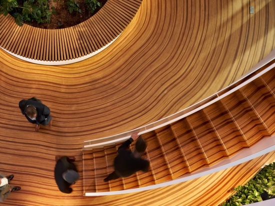 Ce parquet sur mesure a été conçu pour ressembler aux anneaux de croissance d'un arbre
